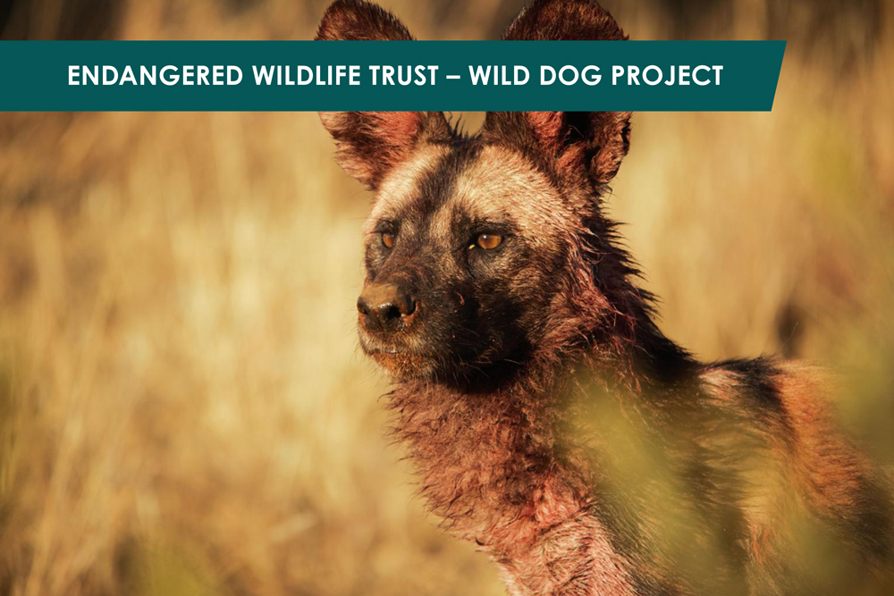 Endangered Wildlife Trust – Wild Dog Project