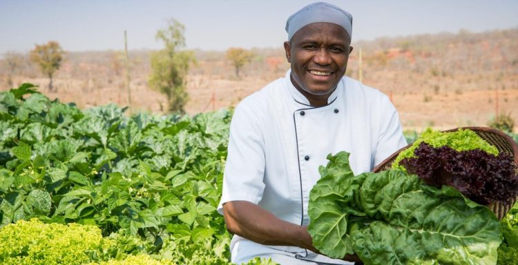 Sustainability in Action: Our Commitment to Tomorrow