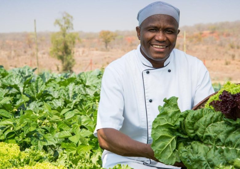 Sustainability in Action: Our Commitment to Tomorrow
